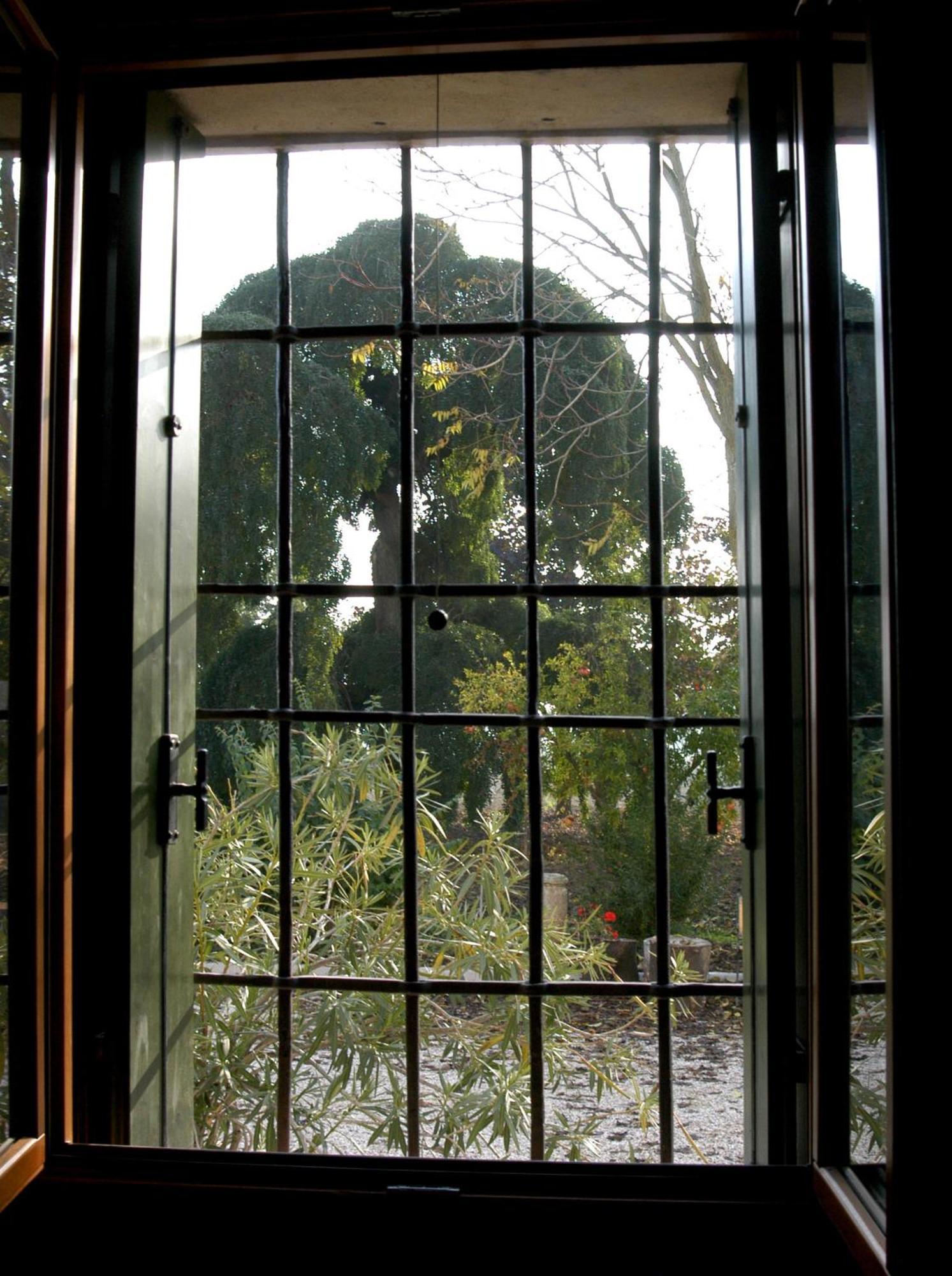 La Sophora Montegaldella