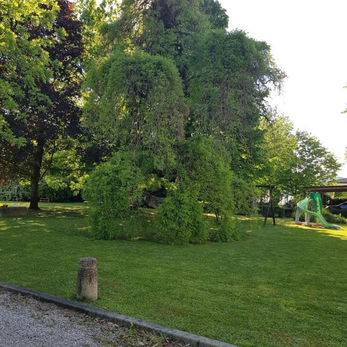 La Sophora Montegaldella